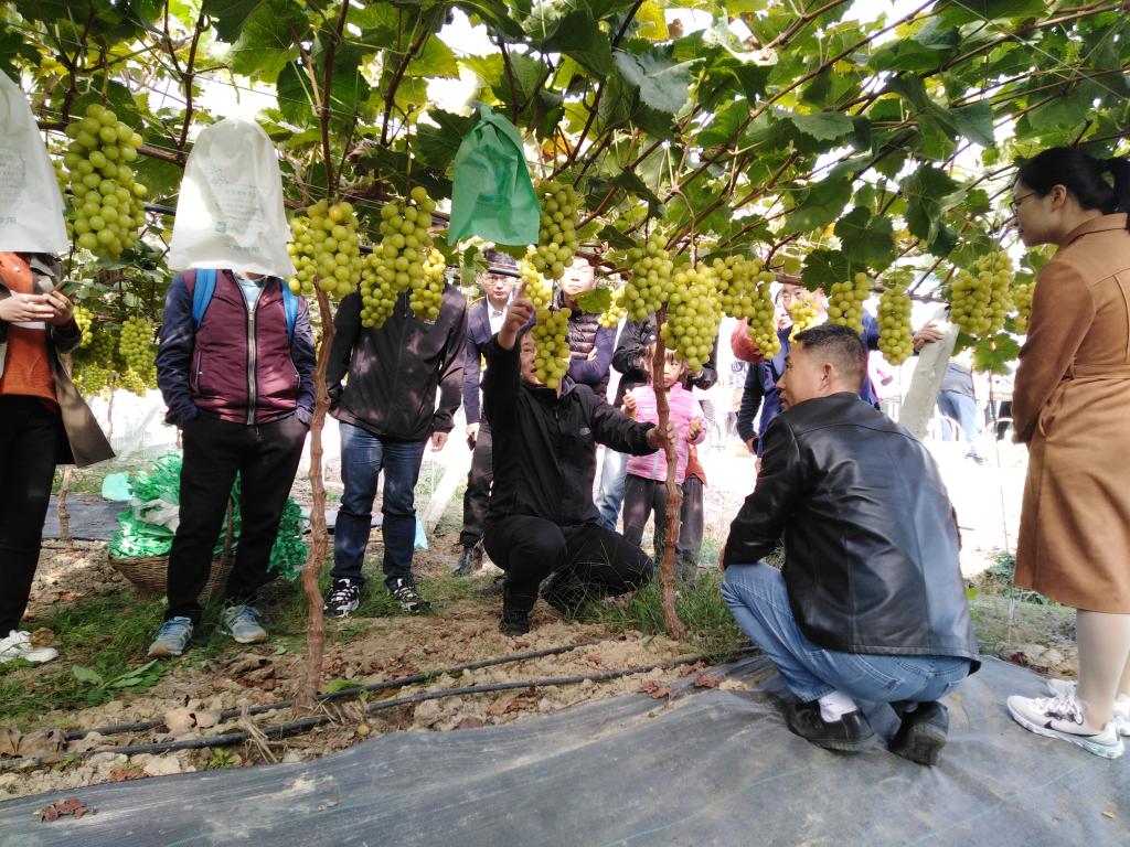 http://news.hfut.edu.cn/__local/F/80/7B/C3024F37AE8C113D5450726DDF5_2F8072D7_2C5F3.jpg?e=.jpg